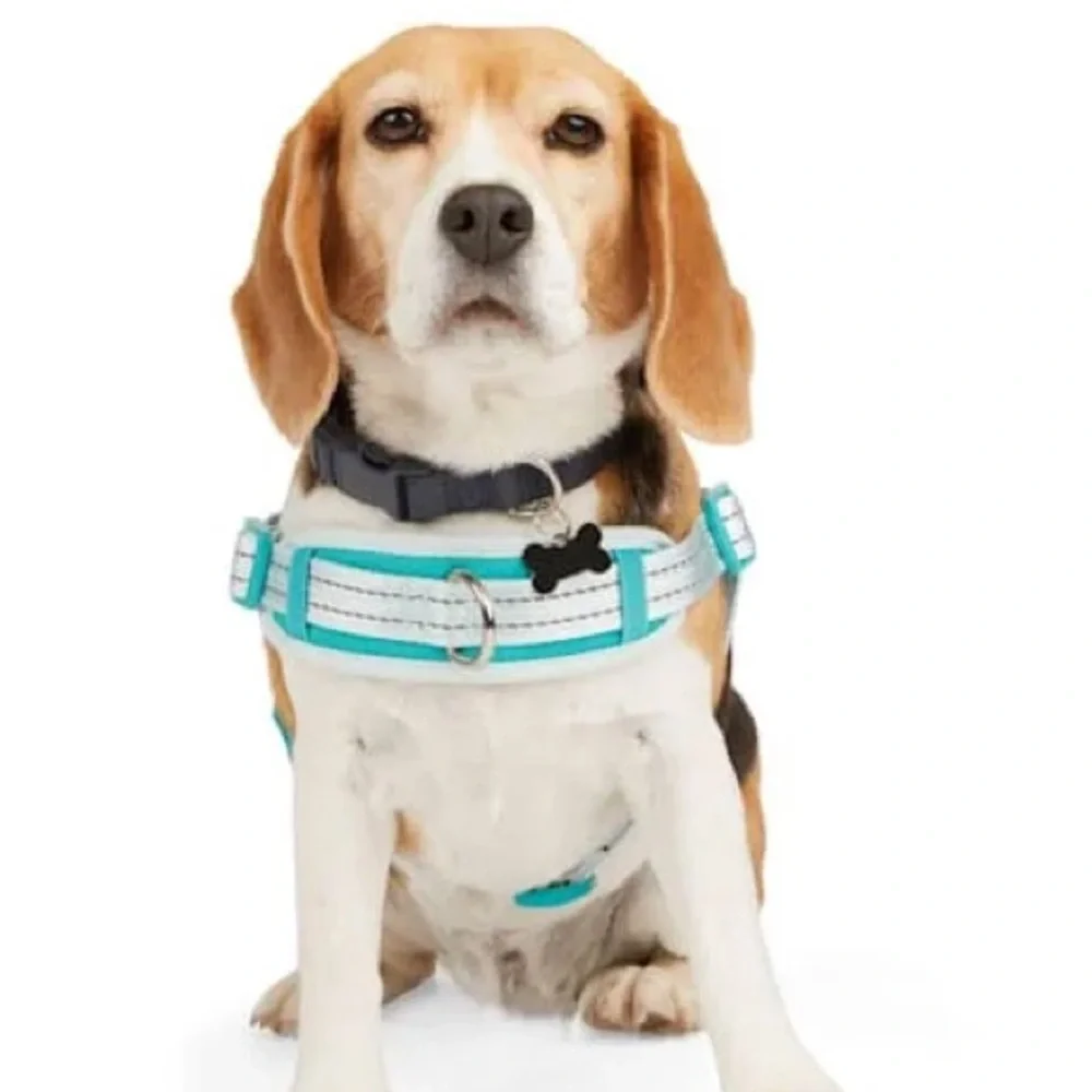 EveryYay Embrace the Pace Training Dog Harness Blue